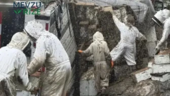 ABD'de arı kovanı yüklü tır devrildi : 2 milyon arı çevreye saçıldı