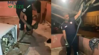 Hatay'da Bulaşık Makinesine Giren Yılan, Şaşkınlık Yarattı!