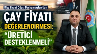 Rize Ziraat Odası Başkanı Aslan’dan Çay Fiyatı Değerlendirmesi: Üretici Desteklenmeli