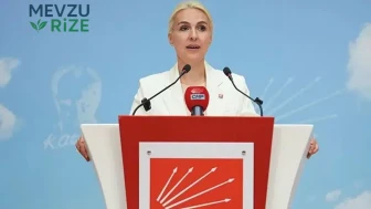 Zahide Kurun kimdir, asıl mesleği nedir? CHP'deki görevi merak konusu oldu