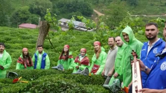 Gönüllü Çay Hasadı Etkinliğiyle Gençler Üretim Sürecini Öğrendi