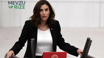 Evrim Rızvanoğlu Kimdir, Nereli? CHP İstanbul Milletvekilinin Hayatı ve Siyasi Kariyeri