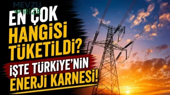 En çok hangisi tüketildi? İşte Türkiye'nin enerji karnesi!