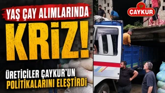 Yaş Çay Alımlarında Kriz: Üreticiler ÇAYKUR’un Politikalarını Eleştirdi