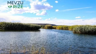 Sıfır Atık Vakfı sulak alanlar için çalışma gerçekleştirecek