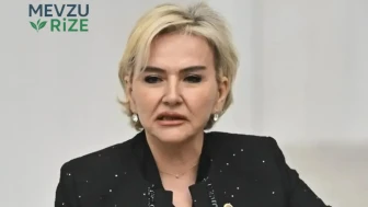 İstanbul Milletvekili Nimet Özdemir: Hayatı ve Kökeni Hakkında Bilgiler