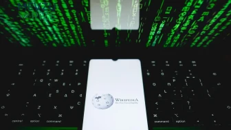 Wikipedia'nın Kurucusu Erişim Engeline Takıldı!