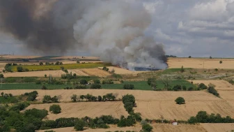 Tekirdağ'da 100 Dekarlık Buğday Tarlasını Kapsayan Yangın Paniğe Neden Oldu