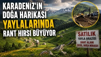 Karadeniz’in doğa harikası yaylalarındaki rant hırsı büyüyor