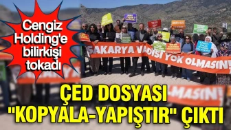 Cengiz Holding'e ÇED Raporunda Ciddi Eleştiri: 'Kopyala-Yapıştır' İddiası Gündemde