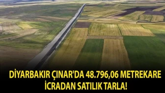 Diyarbakır Çınar'da 48.796,06 Metrekarelik Tarla İcra İhalesiyle Satışta!