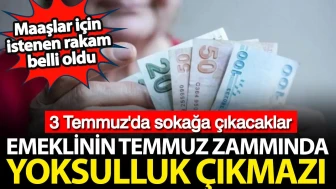 Emekli Maaşları İçin Belirlenen Tutar Açıklandı: Temmuz Zammıyla Yoksulluk Sorunu Derinleşiyor!