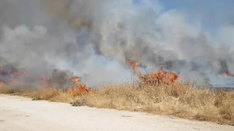 Nusaybin’de Anız Yangını: İtfaiye Ekipleri Hızla Müdahale Etti