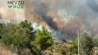 Kumluca'daki Orman Yangını Kontrol Altına Alındı: Antalya Yangınla Mücadele Ekipleri Başarılı Oldu