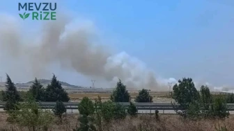 Balıkesir'deki Yangın Ormanlık Alanı Tehdit Ediyor!