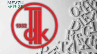 Priz nasıl yazılır? TDK'ye göre priz mi, piriz mi?