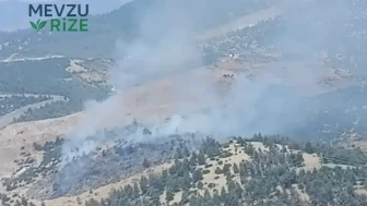 Kahramanmaraş'ta Orman Yangını Kontrol Altına Alındı: Ekiplerin Başarılı Müdahalesi ile Söndürüldü
