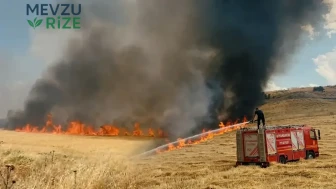 Diyarbakır'da Yangın Alarmı: İki Aylık Sürede 100 Bin Hektar Arazi Tehlike Altında, İzinler Askıya Alındı!