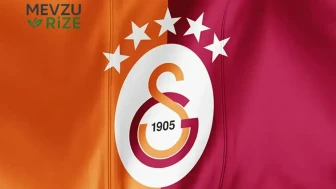 Assane Diao: Piyasa Değeri ve Kariyeri ile İlgili Bilgiler