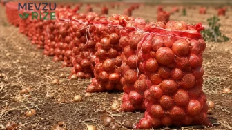 Ticaret Bakanlığı'ndan Kuru Soğanda Yeni Vergi Düzenlemesi Açıklandı!