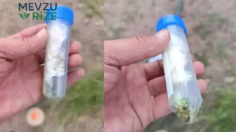 Doğa Katillerine Ağır Ceza: Nesli Tehdit Altındaki Bitkileri Koparanlar Pişman Olacak!