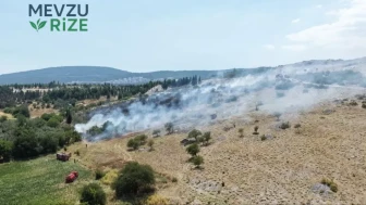 Muğla'da Alevlerle Mücadele: Orman Yangını Kontrol Altına Alınmaya Çalışılıyor