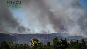 Fransa'da 1000 Hektarlık Orman Yangınında Kasıt İddiası Gündeme Geldi