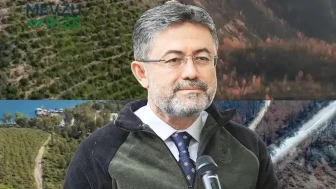 Yeşil Vatan'da Beş Yıllık Dönüşüm Süreci Başlıyor