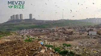 Doğayı Tehdit Edenlere Ağır Ceza: 2 Milyar 43 Milyon Lira ile Çevre Kirliliğine Dur Denildi