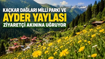 Kaçkar Dağları Milli Parkı ve Ayder Yaylası Ziyaretçi Akınına Uğruyor