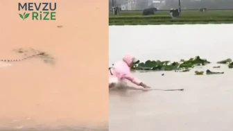 Çin'de Sel Felaketi Sonrası 900 Zehirli Yılan Serbest Kaldı!