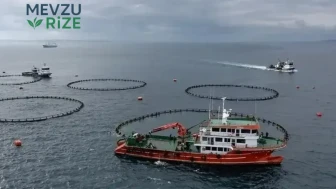 Karadeniz Bölgesi’nin Su Ürünleri İhracatı 2023 Yılının İlk Yarısında 186 Milyon Dolara Ulaştı!