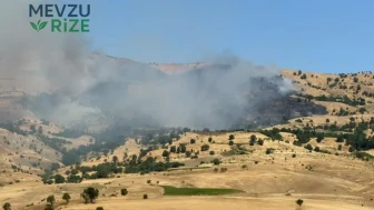Diyarbakır'da çıkan örtü ve orman yangınına müdahale ediliyor