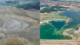 Çölleşmiş Doğa Harikası Yeniden Hayat Buldu: 137 Tür Yeniden Sığınak Buldu!