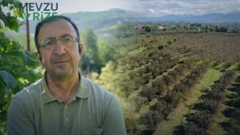 **Fındık İşçiliğindeki Maliyet Artışlarına Karşı Uzmanlardan Öneri: File Örtü Yöntemi!**