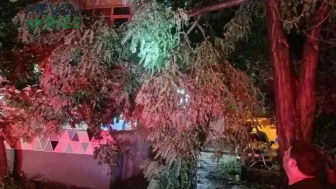 Erdek’te Şiddetli Fırtına ve Dolu Sebebiyle Ağaçlar Yıkıldı, Çatılar Havada Uçuştu!