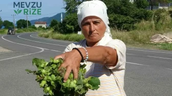 Yerli Tatilcilerin Tercihi: Kilogramı 200 TL'den Satılan Yeni Gözde Ürün!