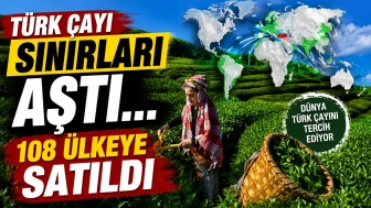 Türk çayı sınırları aştı... 108 ülkeye satıldı