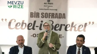 AK Parti Genel Başkan Yardımcısı Belgin Uygur Osmaniye'de STK temsilcileriyle buluştu