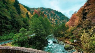 Cennete Yolculuk: Rize