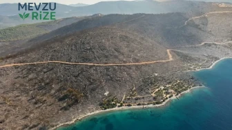 Ormanda Yangın Felaketi: Yeşil Doğa Küllere Karıştı, Mavi Huzur Uzaklaştı