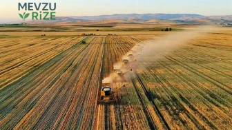 Tarım Sektöründe Türkiye'den Tarihi Başarı: Küresel Arenada Zirveye Oynuyoruz!