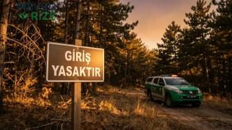 Başkentte ormanlar için yeni karar: Yasaklar uzatıldı, uymayana ağır cezalar geliyor!