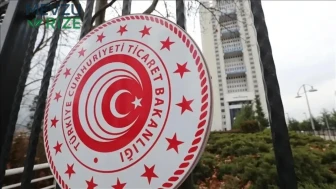 Ticaret Bakanlığı'ndan Kritik Karar: Boğulma Riski Taşıyan Peluş Kaz Oyuncağına Yasak Geldi!