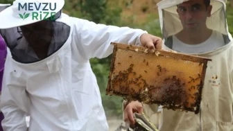 Bal Fiyatlarına Yeni Dönem: Güncel Düzenlemeler Yürürlüğe Girdi!