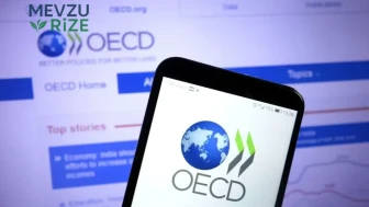 OECD: İş Gücü Piyasalarındaki Kırılganlıklar Giderek Büyüyor!