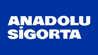 Anadolu Sigorta Kimin? Anadolu Sigorta Hangi Ülkenin? Boykot mu?