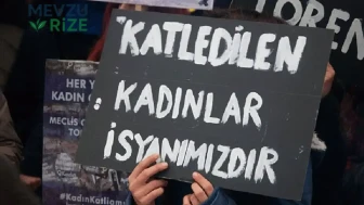 Bursa'da Şok Eden Kadın Cinayeti: Eşini Uyurken Öldüren Adam Çocuklarına 'İntihar' İmajı Çizdi