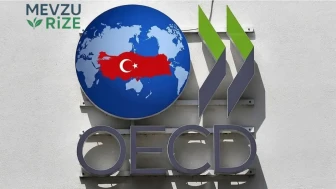Türkiye, OECD Ülkeleri Arasında Reel Ücret Artışında İkinci Sırada: Yakıt Krizine Rağmen Hızla İlerliyor!