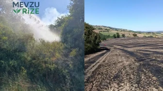 Balıkesir'de Beş Farklı Bölgedeki Zirai Yangınlar Söndürüldü!